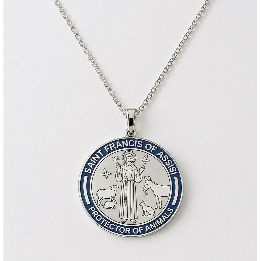 Saint Francis Protector of Animals Necklace Protect my Pet Stainless Steel - Picture 4 of 6